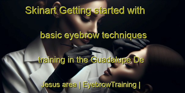 Skinart Getting started with basic eyebrow techniques training in the Guadalupe De Jesus area | EyebrowTraining | EyebrowClasses | SkinartTraining-Mexico